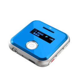環(huán)格H R300 錄音筆 MP3播放器 專業(yè)錄音 運動MP3音樂播放器 藍色錄音筆產品圖片1