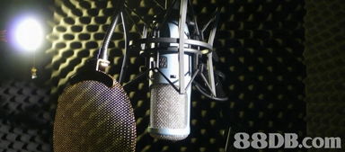 cd的搜尋結(jié)果 音樂(lè) p1