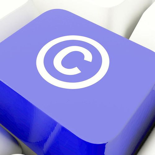 2020柳州著作權侵權行為