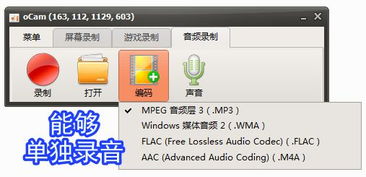 錄屏小將 ocam 全能錄屏、截圖與錄音的得力助手